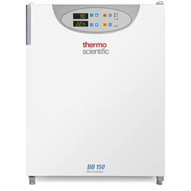 BB 150 Direct Heat CO2 Incubator