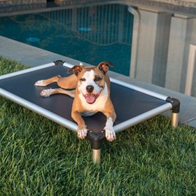 Chew Proof Dog Beds | Pet Care & Supply