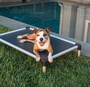 Chew Proof Dog Beds | Pet Care & Supply