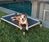 Kuranda Dog and Cat Beds - Chew Proof Dog Beds | Pet Care & Supply