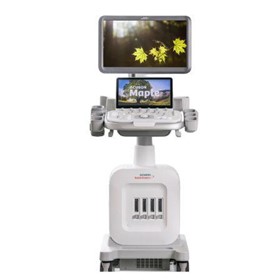 Veterinary Ultrasound Machine | ACUSON Maple | Ultrasound System