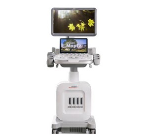Veterinary Ultrasound Machine | ACUSON Maple | Ultrasound System