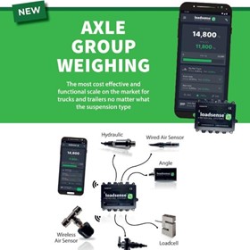 Vehicle axle weighing