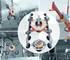 Oktopus Vacuum Lifting Device | Glass-Jack GL-RN 400/600/800
