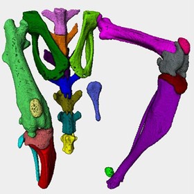 Medical Software | AccuCT microCT Analysis Software