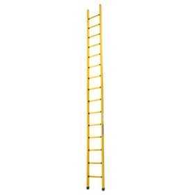 CorrosionMaster Single Ladder | FNF 4.8