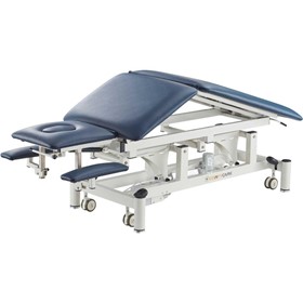 5 Section Treatment Table