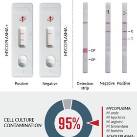 MycoStrip Mycoplasma Detection Kit