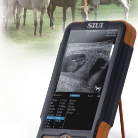 Veterinary Ultrasound | CTS800 For Reproduction