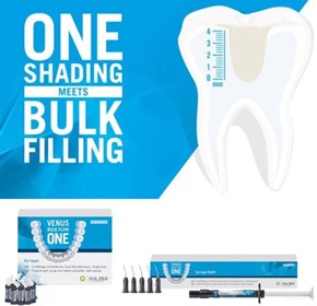 Kulzer Venus Bulk Flow ONE