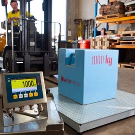 Weighing Equipment -A500 Pallet Scale