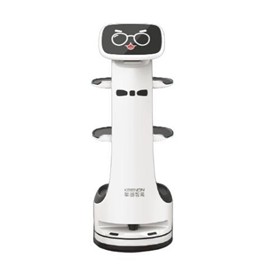 Delivery Robot | Dinerbot T8