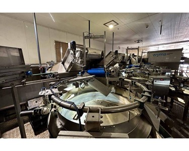 Produce Singulator | Wyma Solutions