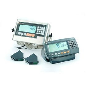 Batch Indicator Terminals - R400 Series