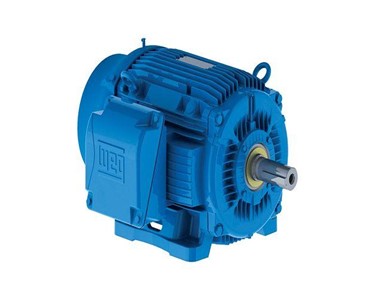 Chain and Drives - AC Electric Motors 