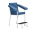 Fresenius Medical Care - Blood Collection Chair | Classics 
