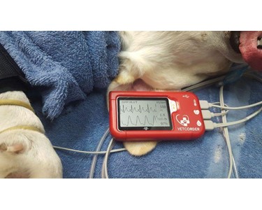 Sentier - Veterinary Vital Signs Monitor | Vetcorder Pro and AirMate