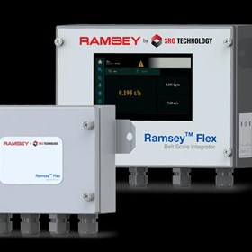 Ramsey Flex Belt Scale Integration Solution