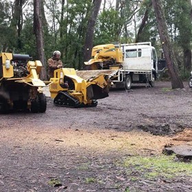 Compact Stump Cutter | SC30TX