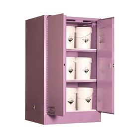 Corrosive Storage Cabinet | 5590ASPH
