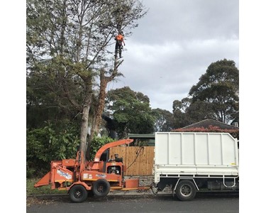 Tomcat - Industrial Wood Chipper | Model 4200AFE