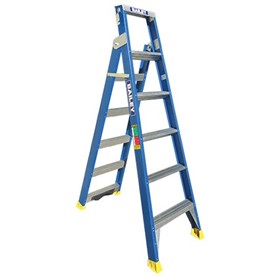 Professional Riveted Dual Purpose Fibreglass Ladder