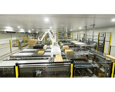 Robotic Palletising and Conveying Solution - ABB Robotic Arms, Darb Conveyor, Spiral Conveyor, Overhead conveyor