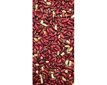 Meyer - Coffee Bean, Peanut, Walnut & Pine Nut Belt Colour Sorter – KMS
