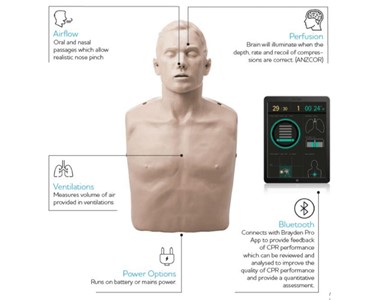Brayden - CPR Manikins LED Red light, Basic (without lights) & Pro (Bluetooth)