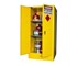 Weatherproof Flammable Storage Cabinet - 350L