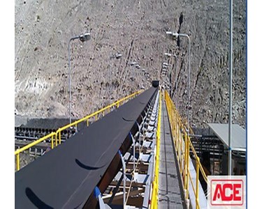 ACE - Fully Integrated Conveyor Systems
