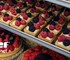 Samaref - Patisserie Storage Refrigeration