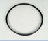 ACI - Autoclave Gasket | Vacuklav 40B 40B+ 41B 41B+ 43B 43B+ 44B 44B+