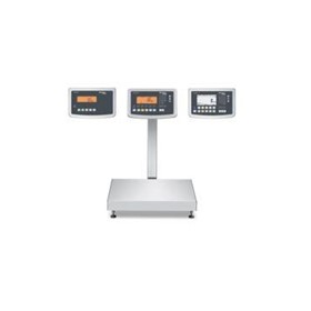 Checkweigher Bench Scales | Bench and floor scale Combics