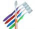 Soft Seasonal Coloured Toothbrush | Oraclean