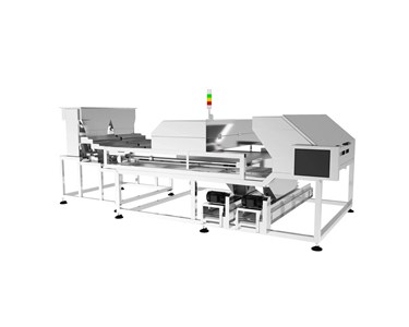 Meyer - Tea, Herb, Dried & Frozen Fruit/Veg Belt Colour Sorter – KR Series