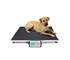 Animal Scales | Veterinary Platform Weigh Scale