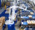 MHM Automation Robotic Palletising System