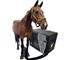 Universal Medical Systems - Tomosynthesis System | EqueTom