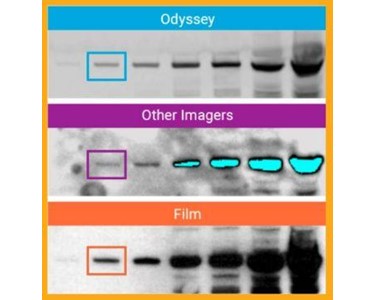 LICORbio - Odyssey F Imaging System