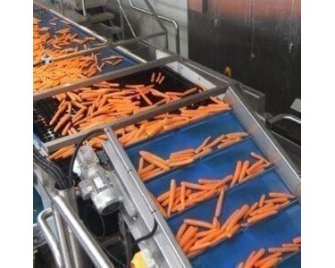 Screen Piece Remover | Wyma Solutions