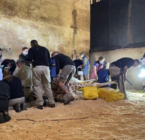 Unforgettable Moments with Zoos SA