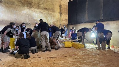 Unforgettable Moments with Zoos SA