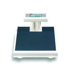 Electronic Floor Scales | 250kg