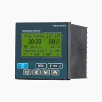 Temperature Controller - TEMI300	