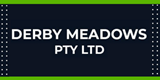 Derby Meadows