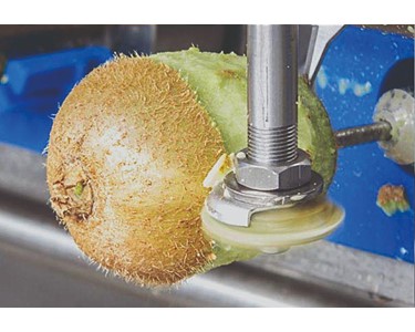 PND Fruit Processing Machinery - SUMMIT MACHINERY - PND PL2|4|6|8 Peeling, Coring & Cutting Machine