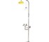Pratt - Safety Shower/Eyewash SE612 