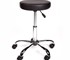 Round Therapy Stool