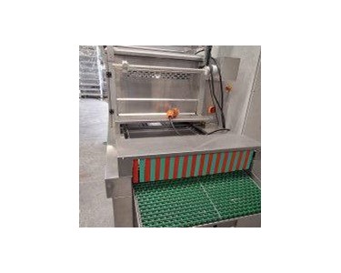 Automatic Tray Sealer c/w Vacuum & Gas Flushing / Skin Pack
